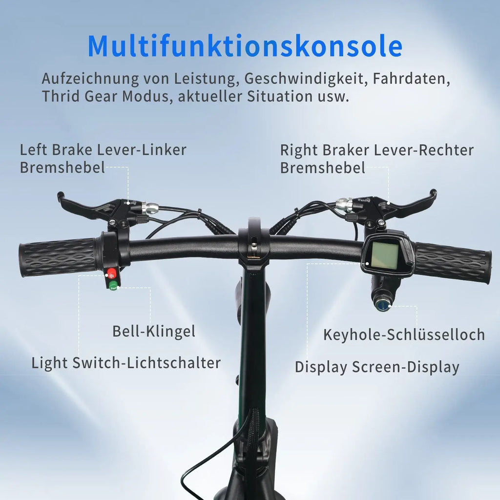 TWOFISH M5 Elite 500W Electric Scooter