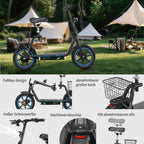 TWOFISH M5 Elite 500W Electric Scooter