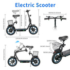 TWOFISH M5 Elite 500W Electric Scooter