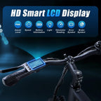 TWOFISH TF1 26" Electric Mountain Bike