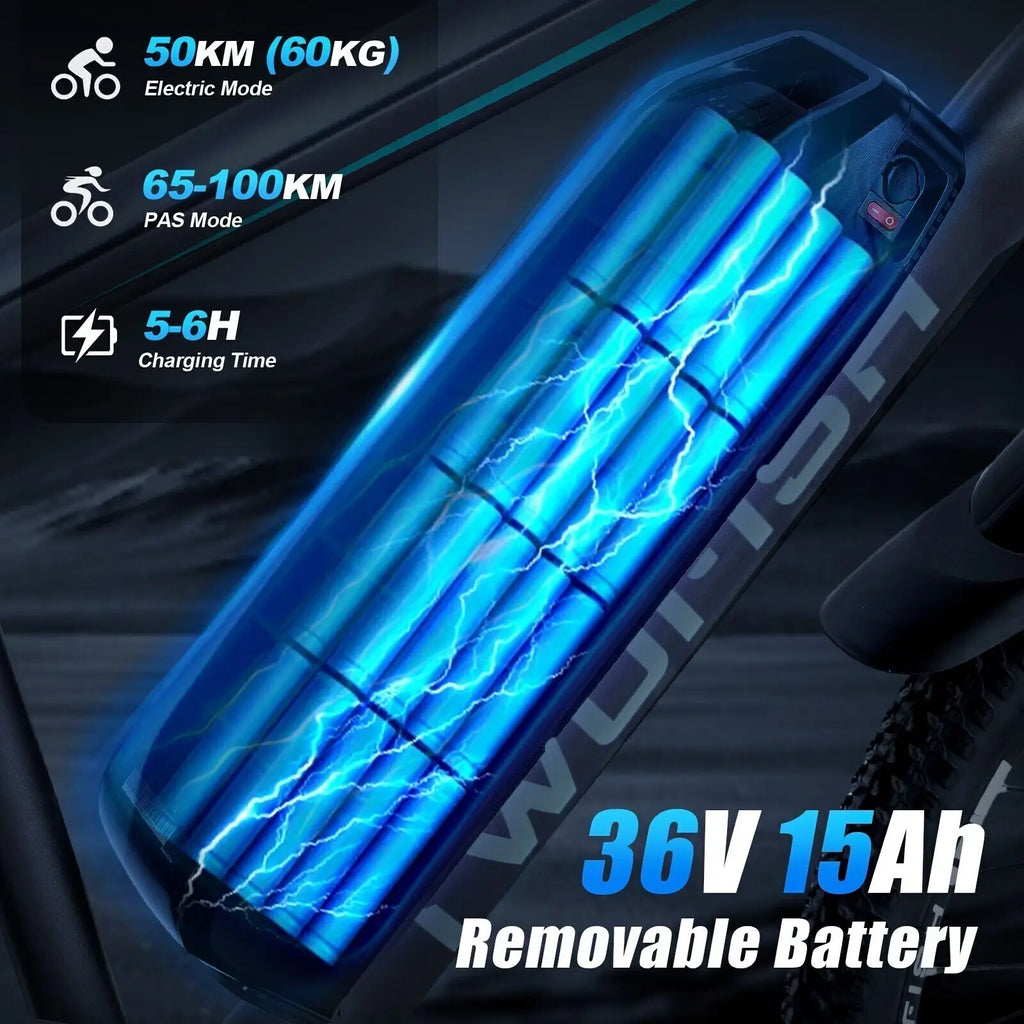 TWOFISH TF1 26" Electric Mountain Bike