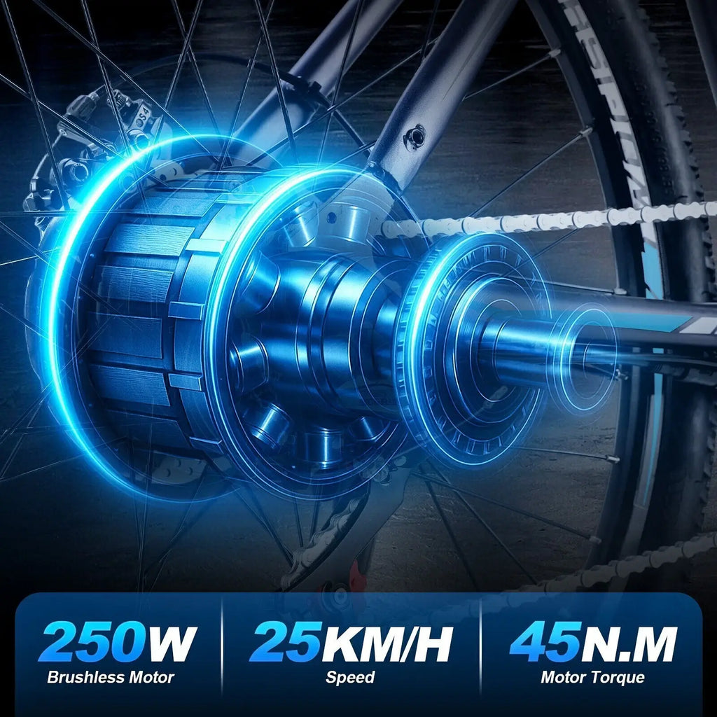 TWOFISH TF1 26" Electric Mountain Bike