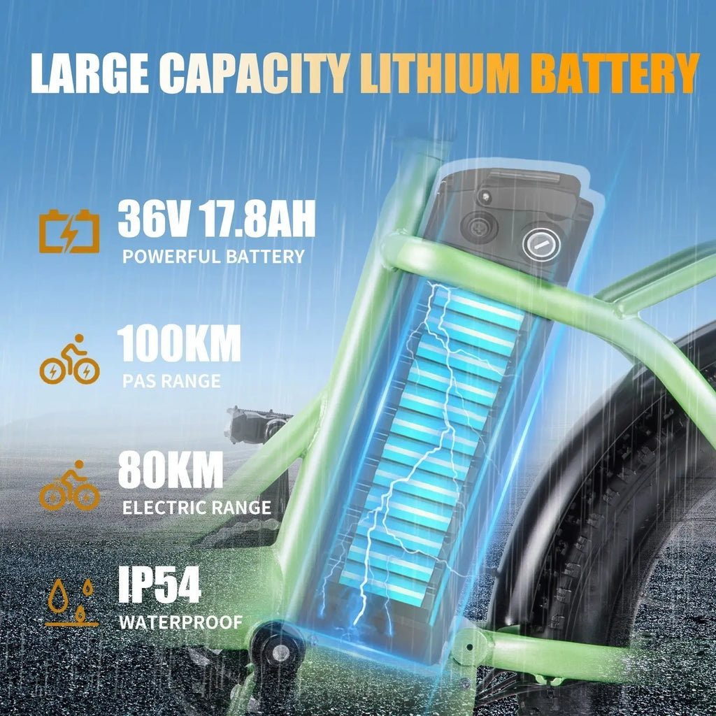 TWOFISH TF2 Electric Bike 20" Folding Electric Bikes