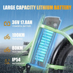 TWOFISH TF2 Electric Bike 20" Folding Electric Bikes