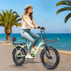 TWOFISH TF2 Electric Bike 20" Folding Electric Bikes