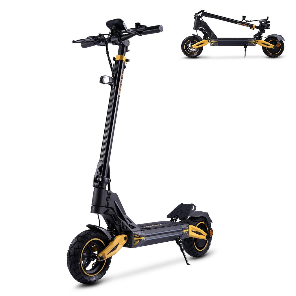 TWOFISH V2 MAX 10in Foldable Off Road Electric Scooter